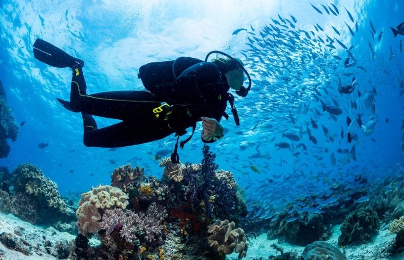 raja-ampat-diving-3